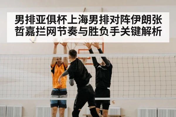 volleyball block